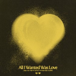 All I Wanted Was Love