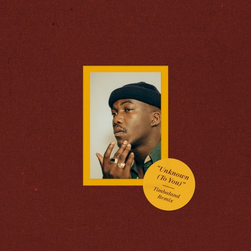 Unknown (to You) (Timbaland remix)