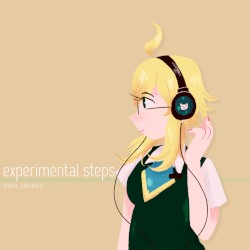 Experimental Steps
