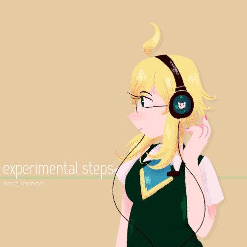 Experimental Steps