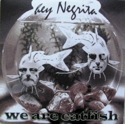 We Are Catfish