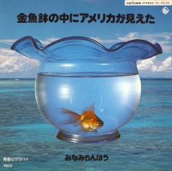 金魚鉢の中にアメリカが見えた