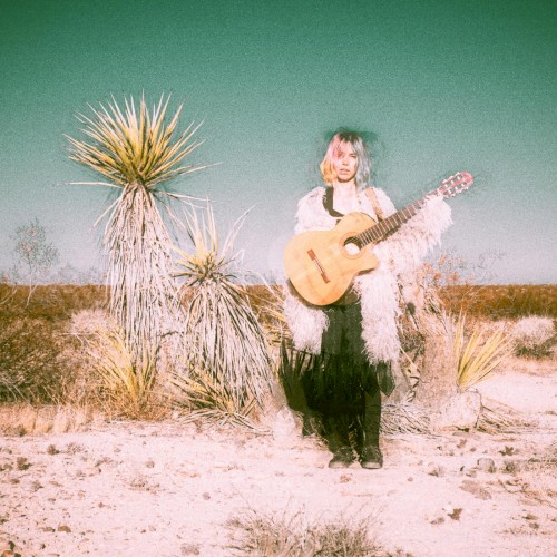 Desert Trash