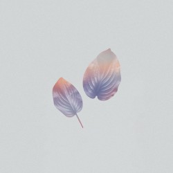 In Between Breaths