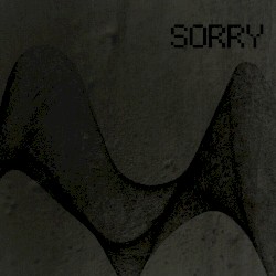 Sorry (Digital Underground)