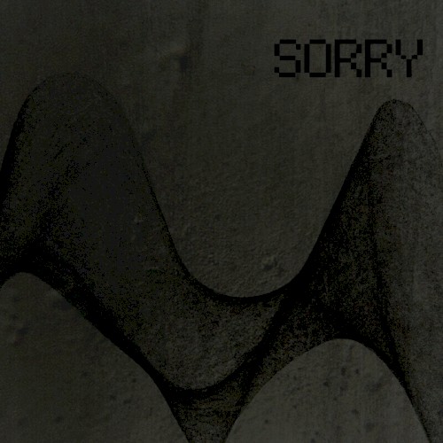 Sorry (Digital Underground)