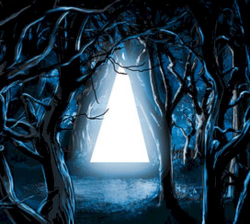 Through Woven Branches