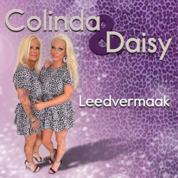 Leedvermaak
