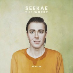 The Worry (remixes)