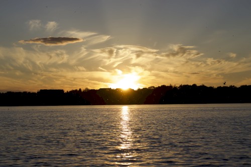 Sun Burst