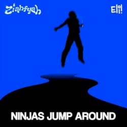 NINJAS JUMP AROUND