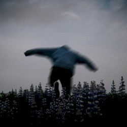 ECHOES
