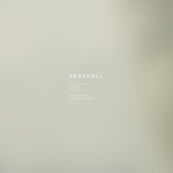 Seashell