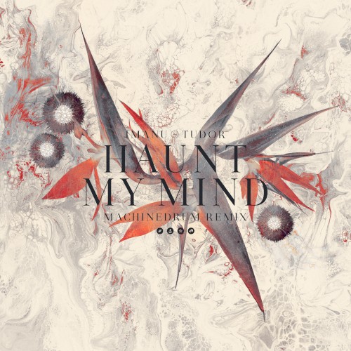 Haunt My Mind (Machinedrum remix)