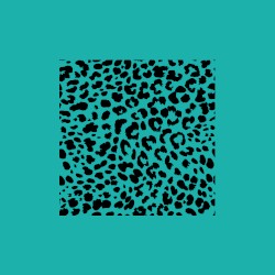 Bassi Presents: Logarithmic