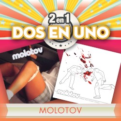 2en1