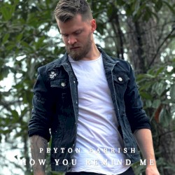 How You Remind Me