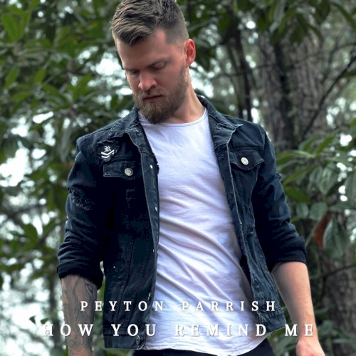 How You Remind Me