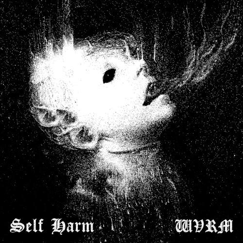 Self Harm x WVRM
