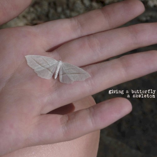 giving a butterfly a skeleton