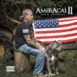 AmerAcal II