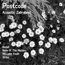 Acoustic Zebraland