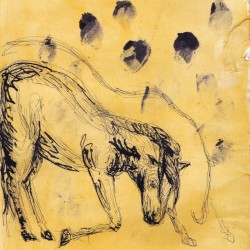 Demo
