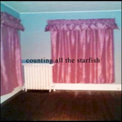 counting all the starfish
