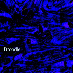 Broodle