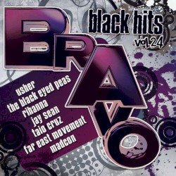 Bravo Black Hits, Vol. 24