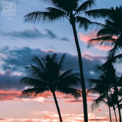 Summer Dreaming