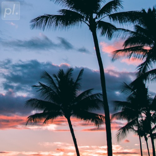 Summer Dreaming