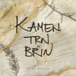 Kamen, trn in brin