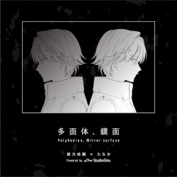 多面体、鏡面