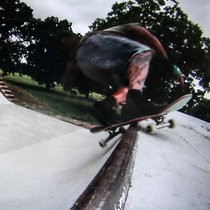 Laid Back (Frontside Rock n Roll)