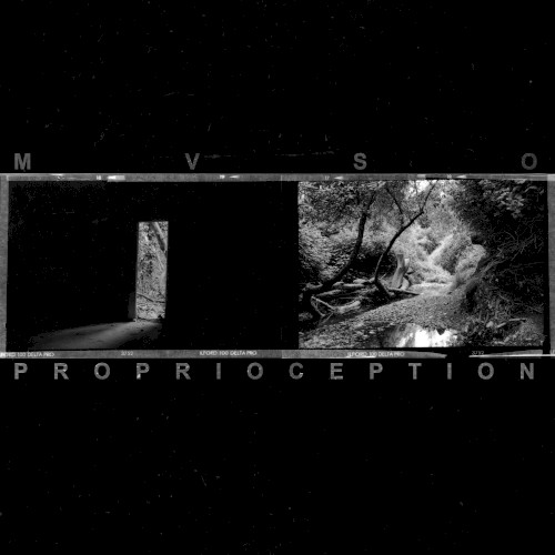 Proprioception