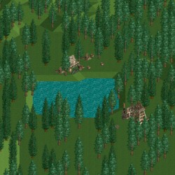 Forest Frontiers