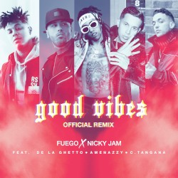 Good Vibes (remix)