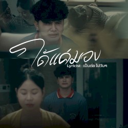 ได้แค่มอง