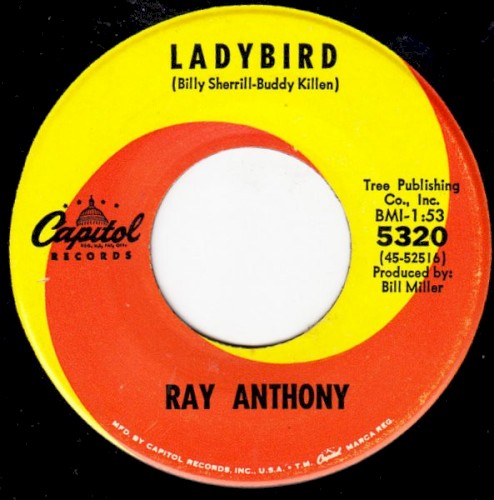 Ladybird / Tiger Tail