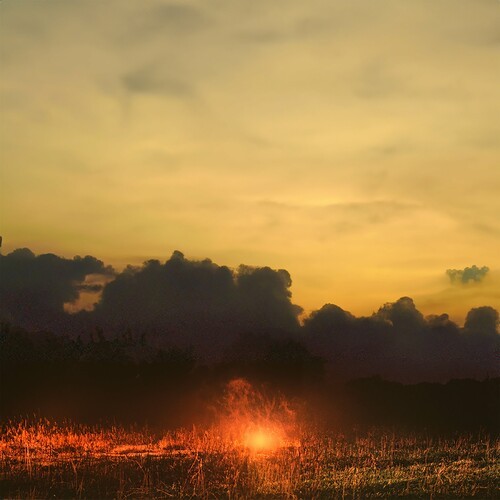 5am Paradise (Acoustic - Sunrise version)