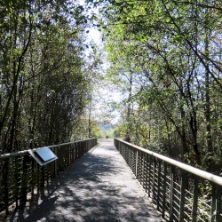 Brightwater Park and North Creek Trail