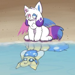reflections
