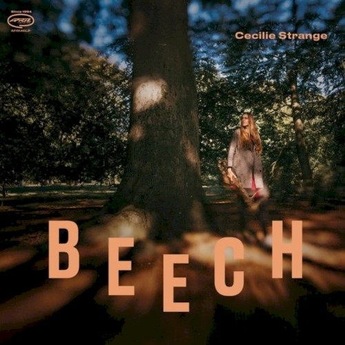 Beech