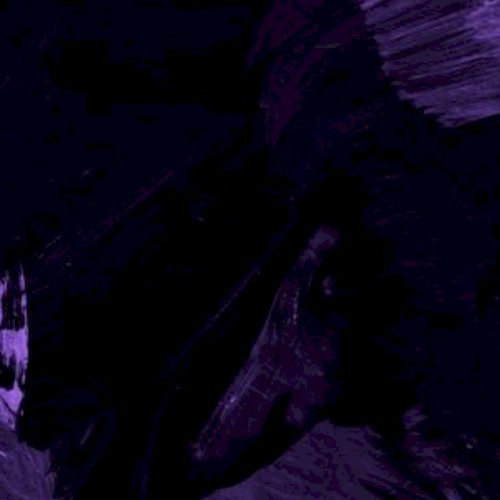 Cold Atoms