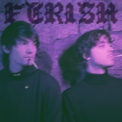 Ferish
