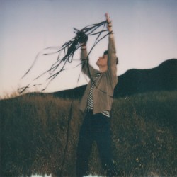 A Year in Glassland
