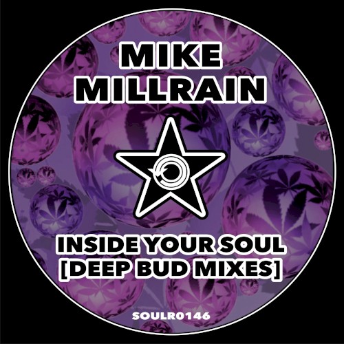 Inside Your Soul (the deep bud mixes)