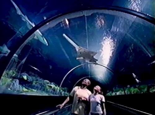 Aquarium I