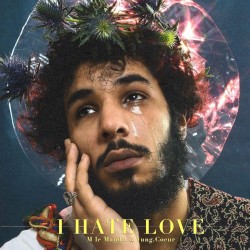 I Hate Love